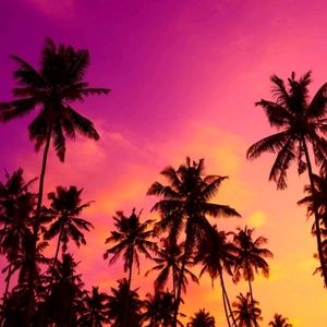 Meet your Posher, Tosca